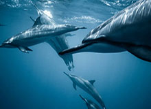 开云体育官方网址-2025服贸会 ｜ 加快国际赛事名城建设，GT世界挑战赛首次进京